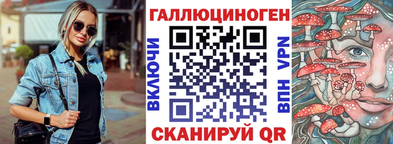 Купить закладки  Снежинск  Псилоцибиновые грибы Psilocybe 